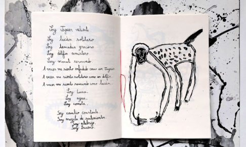 LOS ALEBRIJES CLARO OSCUROS